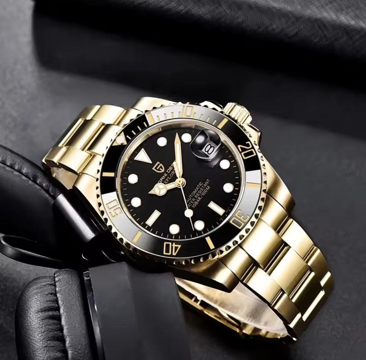 Men's Watches PAGANI DESIGN 1661